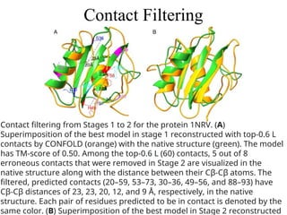 Contact Filtering
Contact filtering from Stages 1 to 2 for the protein 1NRV. (A)
Superimposition of the best model in stage 1 reconstructed with top‐0.6 L
contacts by CONFOLD (orange) with the native structure (green). The model
has TM‐score of 0.50. Among the top‐0.6 L (60) contacts, 5 out of 8
erroneous contacts that were removed in Stage 2 are visualized in the
native structure along with the distance between their Cβ‐Cβ atoms. The
filtered, predicted contacts (20–59, 53–73, 30–36, 49–56, and 88–93) have
Cβ‐Cβ distances of 23, 23, 20, 12, and 9 Å, respectively, in the native
structure. Each pair of residues predicted to be in contact is denoted by the
same color. (B) Superimposition of the best model in Stage 2 reconstructed
 
