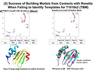 (2) Success of Building Models from Contacts with Rosetta
When Failing to Identify Templates for T1019s2 (TBM)
TM-score: 0.68 GDT-TS-score: 0.67
Top L/5 long-range contacts on native structure
NCON2 (red) VS Native (blue) Rosetta-Con (red) VS Native (blue)
Top L/10 Top L/5 Top L/2 Top L
Acc. 78% 61% 39% 26%
Top L/10 Top L/5 Top L/2 Top L
Acc. 56% 56% 39% 36%
Purple: predicted
Green: native
 