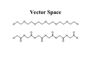 Vector Space
 