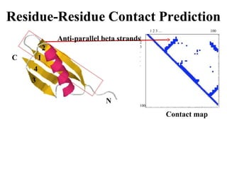 N
C
Anti-parallel beta strands
1 2 3 … 100
1
2
3
.
.
.
.
100
2
1
4
3
Contact map
 