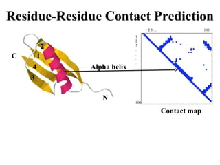 N
C
Alpha helix
1 2 3 … 100
1
2
3
.
.
.
.
100
2
1
4
3
Contact map
 