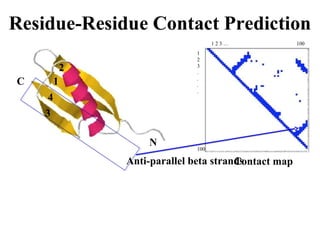N
C
Anti-parallel beta strands
1 2 3 … 100
1
2
3
.
.
.
.
100
2
1
4
3
Contact map
 