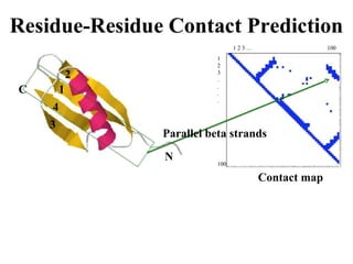 N
C
Parallel beta strands
1 2 3 … 100
1
2
3
.
.
.
.
100
2
1
4
3
Contact map
 