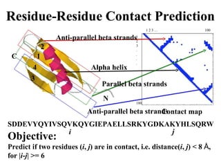 Objective:
Predict if two residues (i, j) are in contact, i.e. distance(i, j) < 8 Å,
for |i-j| >= 6
SDDEVYQYIVSQVKQYGIEPAELLSRKYGDKAKYHLSQRW
i j
N
C
Anti-parallel beta strands
Alpha helix
Parallel beta strands
Anti-parallel beta strands
1 2 3 … 100
1
2
3
.
.
.
.
100
2
1
4
3
Contact map
 