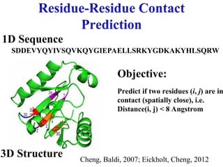 Objective:
Predict if two residues (i, j) are in
contact (spatially close), i.e.
Distance(i, j) < 8 Angstrom
SDDEVYQYIVSQVKQYGIEPAELLSRKYGDKAKYHLSQRW
1D Sequence
3D Structure Cheng, Baldi, 2007; Eickholt, Cheng, 2012
 