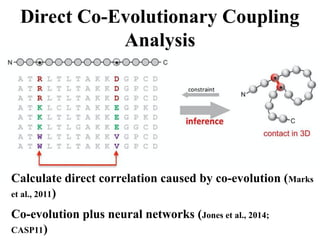 Direct Co-Evolutionary Coupling
Analysis
Calculate direct correlation caused by co-evolution (Marks
et al., 2011)
Co-evolution plus neural networks (Jones et al., 2014;
CASP11)
 