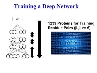 …
…
…
…
…
…
…
[0,1]
1239 Proteins for Training
Residue Pairs (|i-j| >= 6)
 
