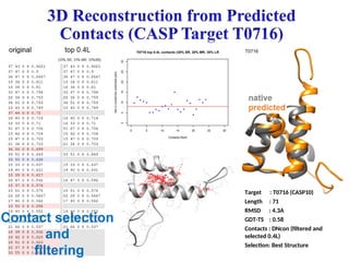 Target : T0716 (CASP10)
Length : 71
RMSD : 4.3A
GDT-TS : 0.58
Contacts : DNcon (filtered and
selected 0.4L)
Selection: Best Structure
Contact selection
and
filtering
 