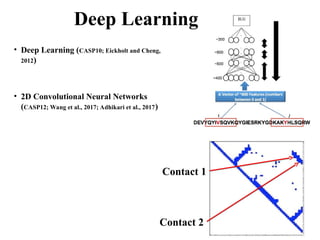 Deep Learning
• Deep Learning (CASP10; Eickholt and Cheng,
2012)
• 2D Convolutional Neural Networks
(CASP12; Wang et al., 2017; Adhikari et al., 2017)
Contact 1
Contact 2
 