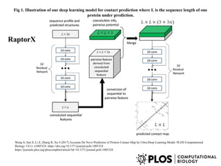 Fig 1. Illustration of our deep learning model for contact prediction where L is the sequence length of one
protein under prediction.
Wang S, Sun S, Li Z, Zhang R, Xu J (2017) Accurate De Novo Prediction of Protein Contact Map by Ultra-Deep Learning Model. PLOS Computational
Biology 13(1): e1005324. https://doi.org/10.1371/journal.pcbi.1005324
https://journals.plos.org/ploscompbiol/article?id=10.1371/journal.pcbi.1005324
RaptorX
 