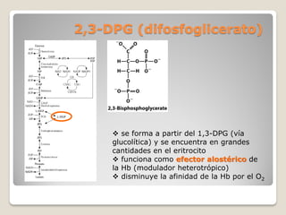 3 proteínas iii | PDF