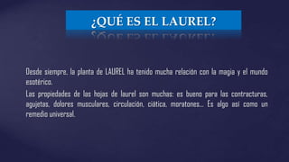 ¿QUÉ ES EL LAUREL?

Desde siempre, la planta de LAUREL ha tenido mucha relación con la magia y el mundo
esotérico.
Las propiedades de las hojas de laurel son muchas: es bueno para las contracturas,
agujetas, dolores musculares, circulación, ciática, moratones… Es algo así como un
remedio universal.

 