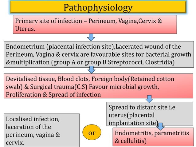 Puerperal Infection | PPTX | Pregnancy | Reproductive Health