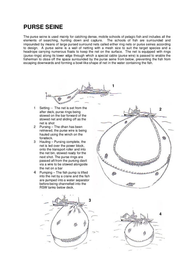 purse seine gear