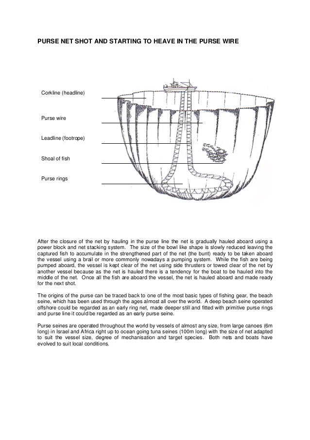 purse seine gear
