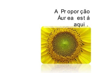 A Pr opor ção
Áur ea est á
aqui .
 