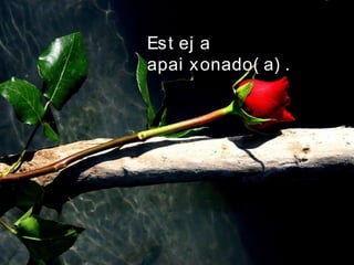 Est ej a
apai xonado( a) .
 