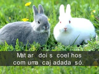 Mat ar doi s coel hos
com uma caj adada só.
 