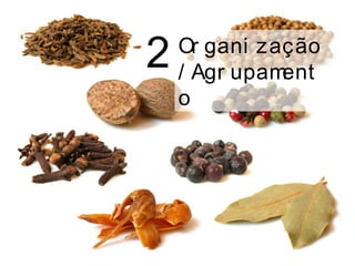 Or gani zação
/ Agr upament
o
2
 