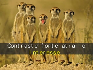 Cont r ast e f or t e at r ai o
i nt er esse.
 