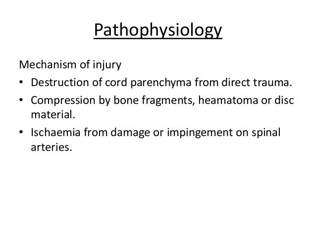 the signs and symptoms of neurofibromatoses 6-9-2000 the oncologist is a journal devoted to medical and practice issues the signs and symptoms of neurofibromatoses for surgical, radiation, and medical oncologists. the signs and symptoms of neurofibromatoses 6-9-2000 the oncologist is a journal devoted to medical and practice issues the signs and symptoms of neurofibromatoses for surgical, radiation, and medical oncologists.