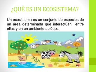 ¿QUÉ ES UN ECOSISTEMA?
Un ecosistema es un conjunto de especies de
un área determinada que interactúan entre
ellas y en un ambiente abiótico.
 