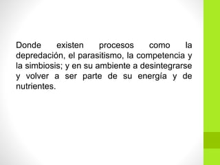 Donde existen procesos como la
depredación, el parasitismo, la competencia y
la simbiosis; y en su ambiente a desintegrarse
y volver a ser parte de su energía y de
nutrientes.
 
