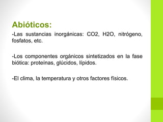 Abióticos:
-Las sustancias inorgánicas: CO2, H2O, nitrógeno,
fosfatos, etc.
-Los componentes orgánicos sintetizados en la fase
biótica: proteínas, glúcidos, lípidos.
-El clima, la temperatura y otros factores físicos.
 