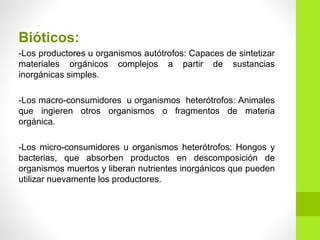 Bióticos:
-Los productores u organismos autótrofos: Capaces de sintetizar
materiales orgánicos complejos a partir de sustancias
inorgánicas simples.
-Los macro-consumidores u organismos heterótrofos: Animales
que ingieren otros organismos o fragmentos de materia
orgánica.
-Los micro-consumidores u organismos heterótrofos: Hongos y
bacterias, que absorben productos en descomposición de
organismos muertos y liberan nutrientes inorgánicos que pueden
utilizar nuevamente los productores.
 