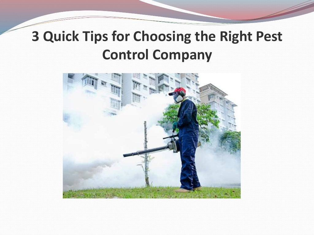 3 Quick Tips For Choosing The Right Pest Control Company