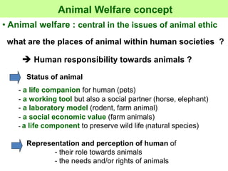 Sponsor Day on animal feeding: Animal Welfare: definition, assessment…