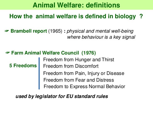 Sponsor Day on animal feeding: Animal Welfare: definition, assessment…