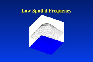 Low Spatial Frequency
 