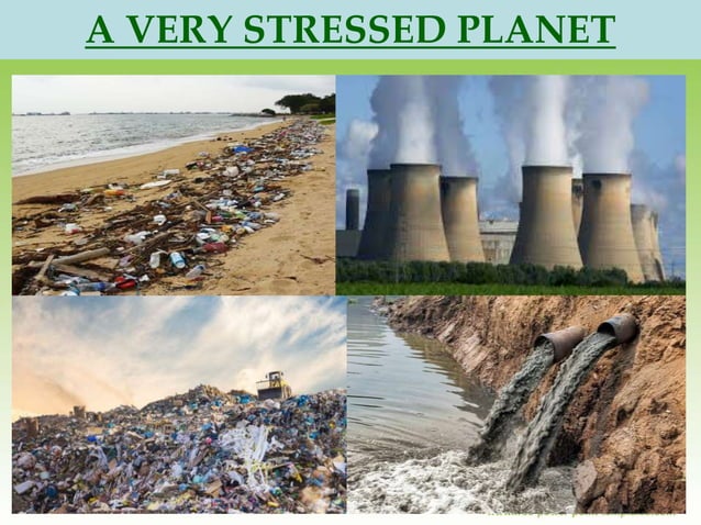3 R - REDUCE REUSE RECYCLE FOR A SUSTAINABLE PLANET | PPTX