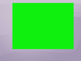 3 ra. semana   la exposición