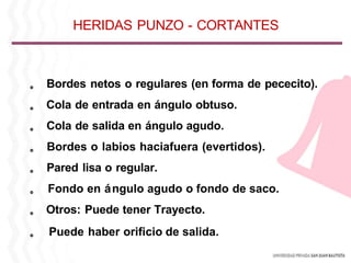 。 Bordes netos o regulares (en forma de pececito).
。 Cola de entrada en ángulo obtuso.
。 Cola de salida en ángulo agudo.
。 Bordes o labios haciafuera (evertidos).
。 Pared lisa o regular.
。 Fondo en ángulo agudo o fondo de saco.
。 Otros: Puede tener Trayecto.
。 Puede haber orificio de salida.
HERIDAS PUNZO - CORTANTES
 