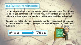 La raíz de un número se representa genéricamente como
𝐧
𝐚, donde
(n) es lo que llamamos índice de la raíz, representado por un número
natural y la letra a que representa el radicando o cantidad subradical.
Cuando se habla de raíz cuadrada, no hay necesidad de colocar
el índice dos al radical, porque se sobreentiende al decir raíz
cuadrada.
𝒂 𝒏
= 𝒃
𝒏
𝒃 = a
 