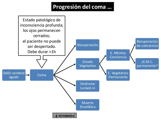 Muerte encefálica y vEstado Vegetativo Persistente