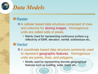 raster data model | PPT