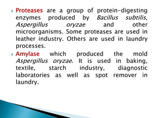 } Proteases are a group of protein-digesting
enzymes produced by Bacillus subtilis,
Aspergillus oryzae and other
microorganisms. Some proteases are used in
leather industry. Others are used in laundry
processes.
} Amylase which produced the mold
Aspergillus oryzae. It is used in baking,
textile, starch industry, diagnostic
laboratories as well as spot remover in
laundry.
 