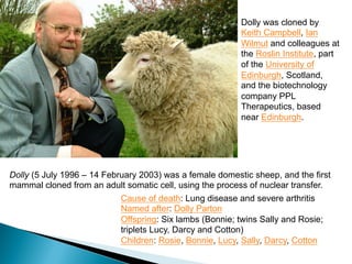 Dolly (5 July 1996 – 14 February 2003) was a female domestic sheep, and the first
mammal cloned from an adult somatic cell, using the process of nuclear transfer.
Cause of death: Lung disease and severe arthritis
Named after: Dolly Parton
Offspring: Six lambs (Bonnie; twins Sally and Rosie;
triplets Lucy, Darcy and Cotton)
Children: Rosie, Bonnie, Lucy, Sally, Darcy, Cotton
Dolly was cloned by
Keith Campbell, Ian
Wilmut and colleagues at
the Roslin Institute, part
of the University of
Edinburgh, Scotland,
and the biotechnology
company PPL
Therapeutics, based
near Edinburgh.
 