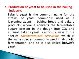 a. Production of yeast to be used in the baking
industry:
• Baker's yeast is the common name for the
strains of yeast commonly used as a
leavening agent in baking bread and bakery
products, where it converts the fermentable
sugars present in the dough into CO2 and
ethanol. Baker's yeast is almost always of the
species Saccharomyces cerevisiae, which is
the same species commonly used in alcoholic
fermentation, and so is also called brewer's
yeast.
 