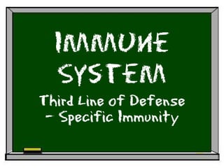 Immune
  System
Third Line of Defense
 – Specific Immunity
 