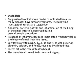 Sprue Radiology Diseases of intestine | PPTX