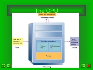 The CPU
 
