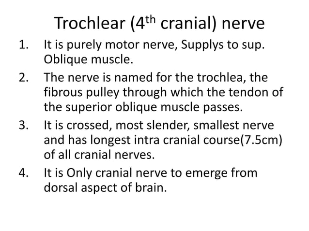 3rd, 4th and 6th cranial nerve | PPTX | Brain and Nervous System ...
