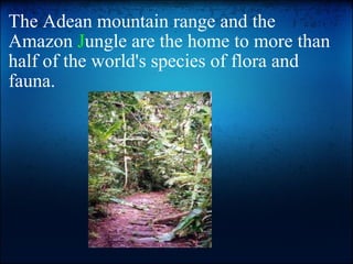 The Adean mountain range and the Amazon  J ungle are the home to more than half of the world's species of flora and fauna.   