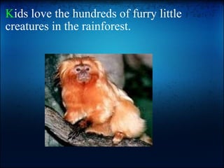 K ids love the hundreds of furry little creatures in the rainforest.   