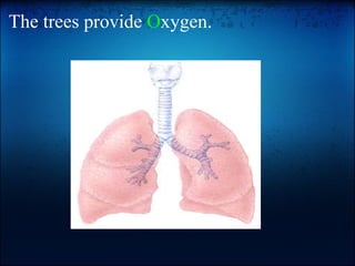 The trees provide  O xygen.   