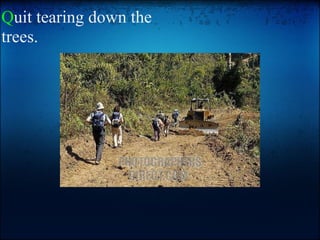 Q uit tearing down the trees.       